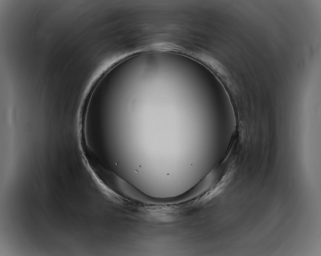 X0000088491430200705221418