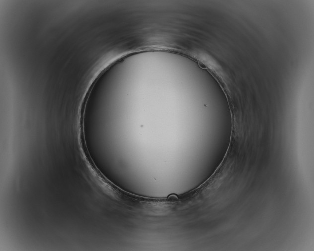 X0000088491431200705221418