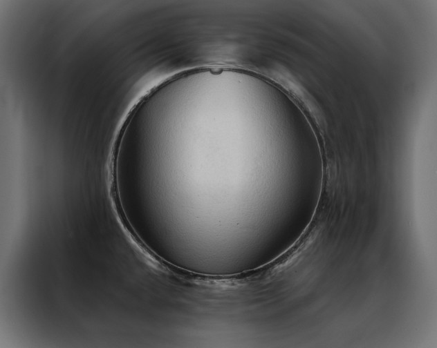 X0000088491432200705221418
