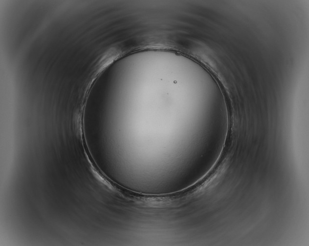 X0000088491433200705221418