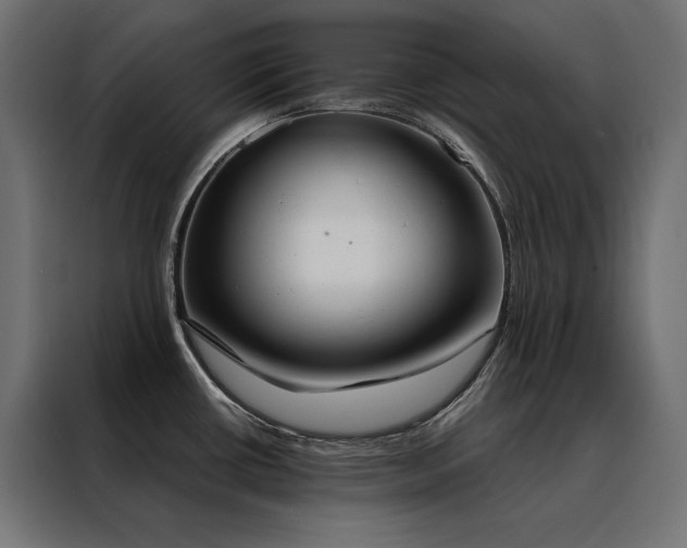 X0000088491434200705221418