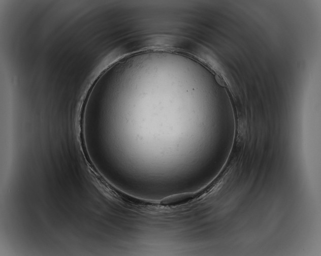 X0000088491435200705221418