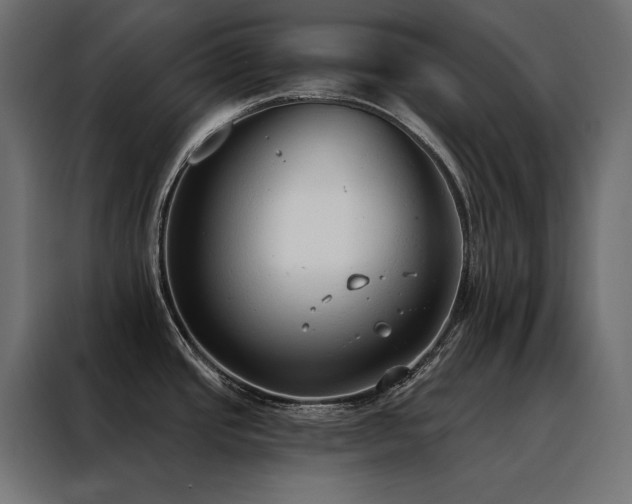 X0000088491437200705221418