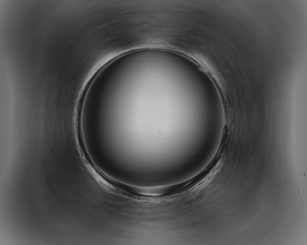 X0000088491438200705221418