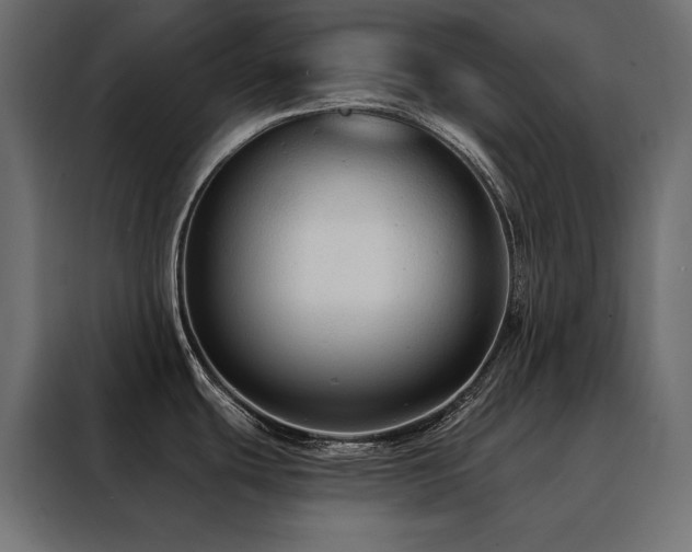 X0000088491439200705221418