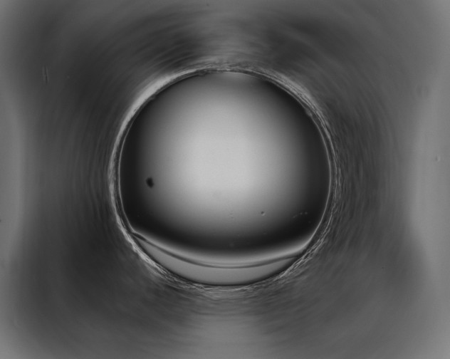 X0000088491440200705221418