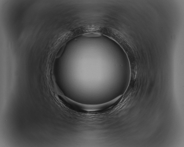 X0000088491441200705221417