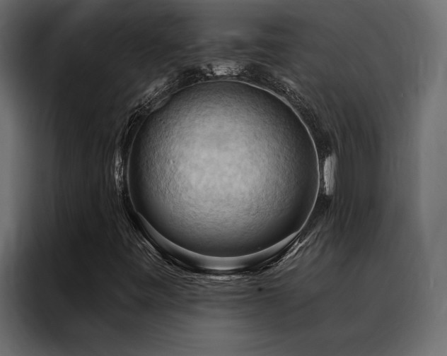 X0000088491443200705221417
