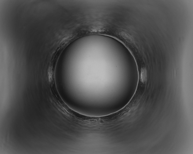 X0000088491444200705221417