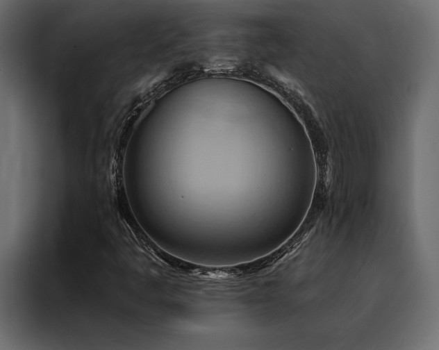 X0000088491445200705221417