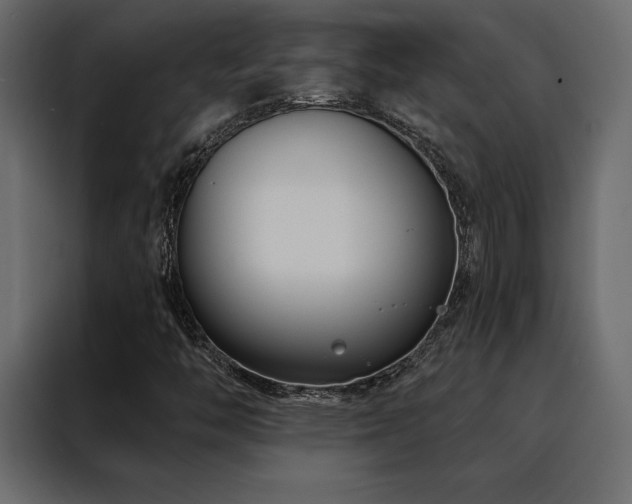 X0000088491446200705221417