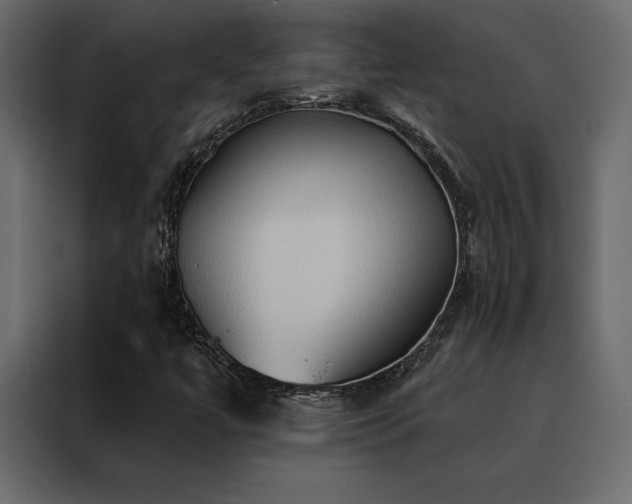 X0000088491447200705221417