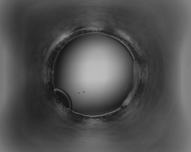 X0000088491448200705221417