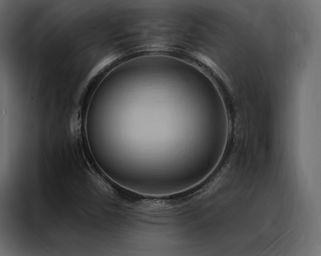 X0000088491450200705221417