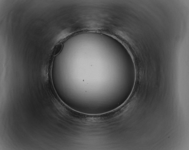 X0000088491451200705221417