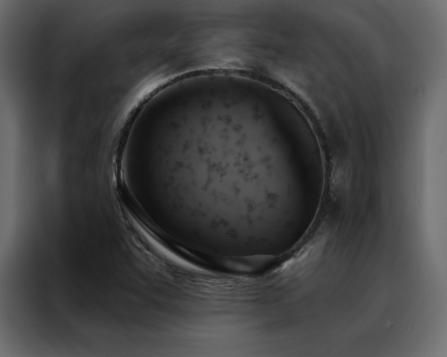 X0000088491455200705221417