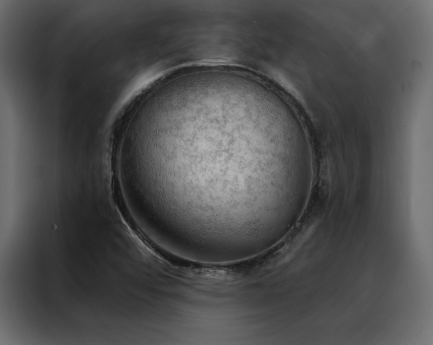 X0000088491456200705221417