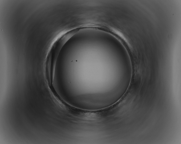 X0000088491463200705221417