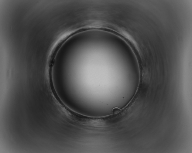 X0000088491464200705221417
