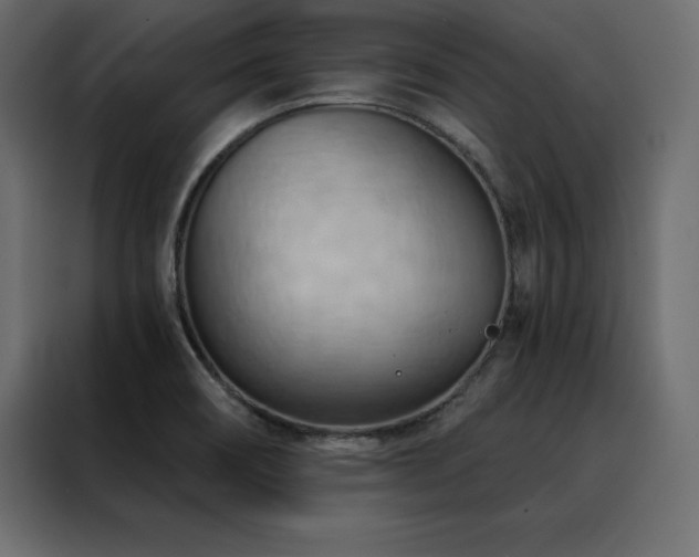 X0000088491466200705221417