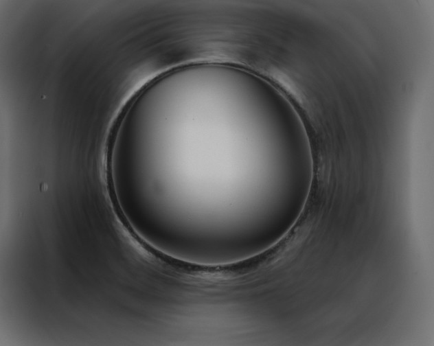 X0000088491468200705221417