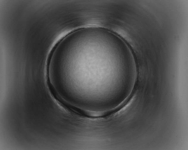 X0000088491469200705221417