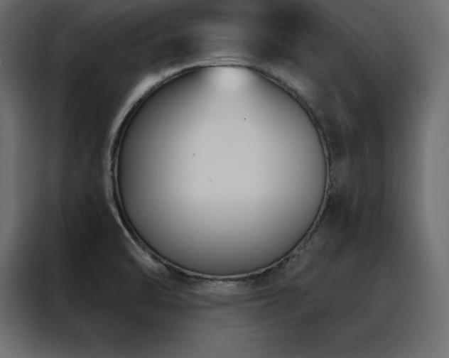 X0000088491470200705221417