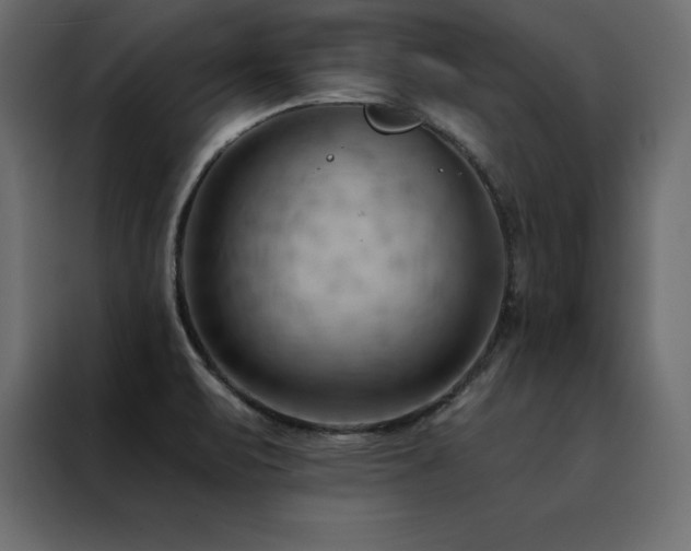 X0000088491471200705221417