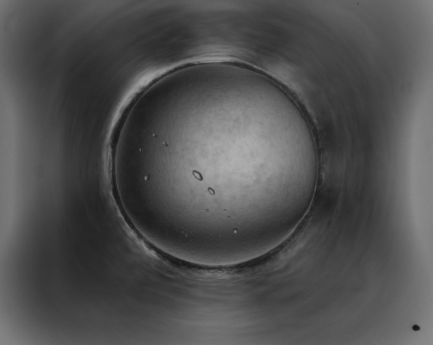 X0000088491472200705221417