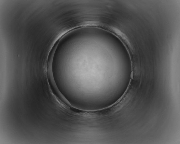 X0000088491473200705221417