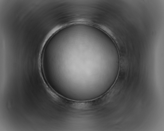 X0000088491474200705221417