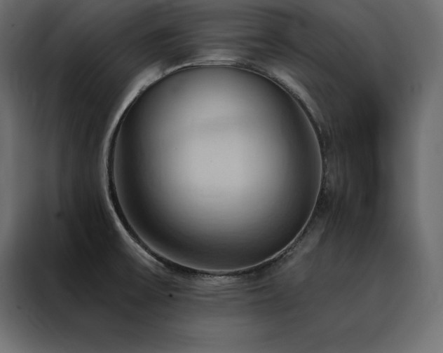 X0000088491475200705221417