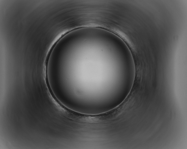 X0000088491476200705221417