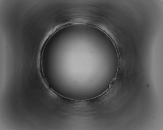 X0000088491477200705221417