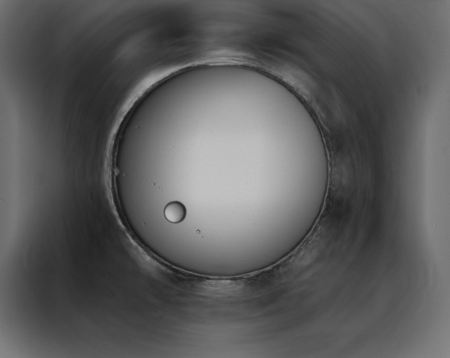 X0000088491478200705221417