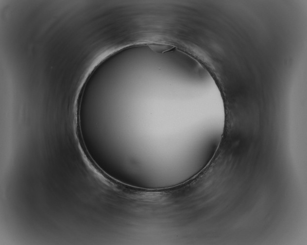 X0000088491479200705221417