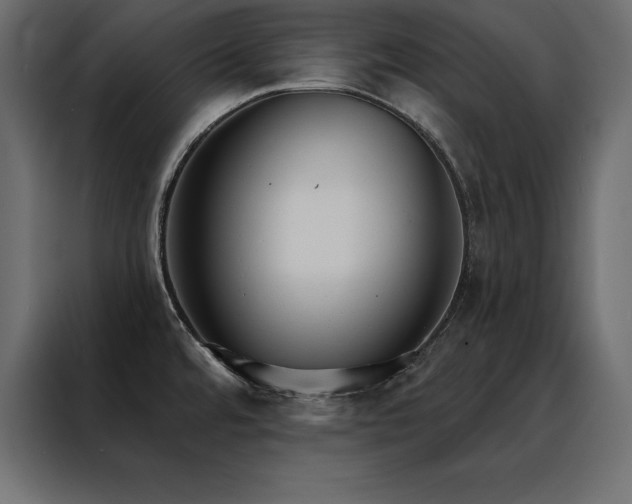 X0000088491480200705221417