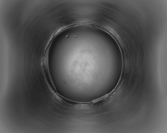 X0000088491481200705221417