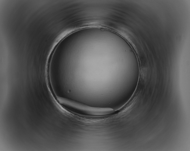 X0000088491482200705221417