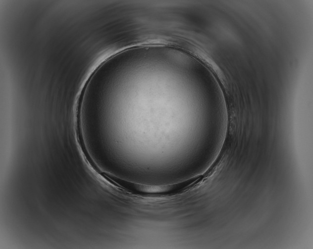 X0000088491483200705221417