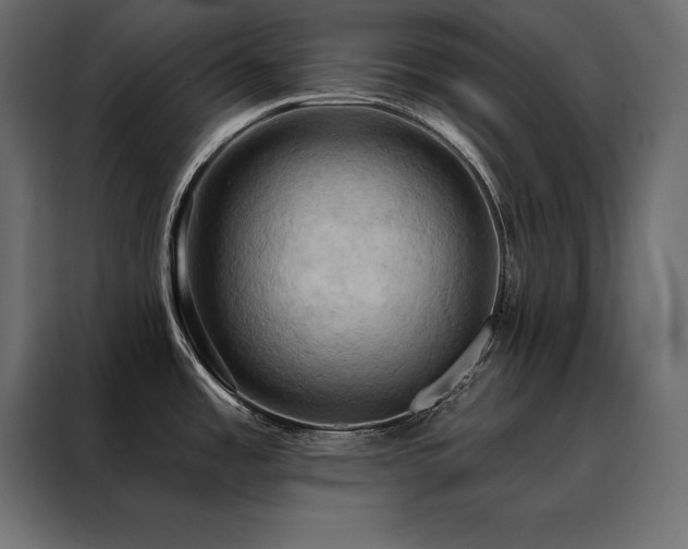 X0000088491485200705221417