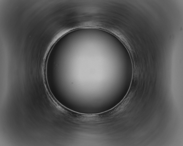 X0000088491486200705221417