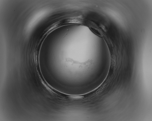 X0000088491487200705221417