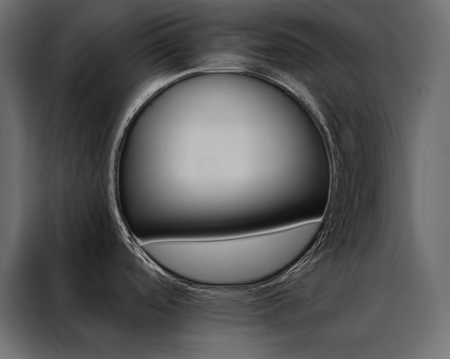 X0000088491488200705221417