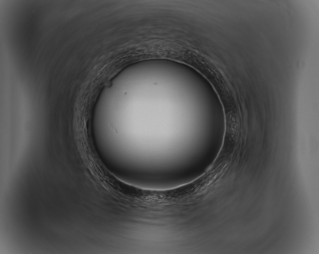 X0000088491489200705221416