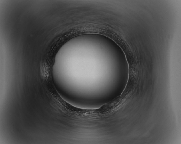 X0000088491490200705221416
