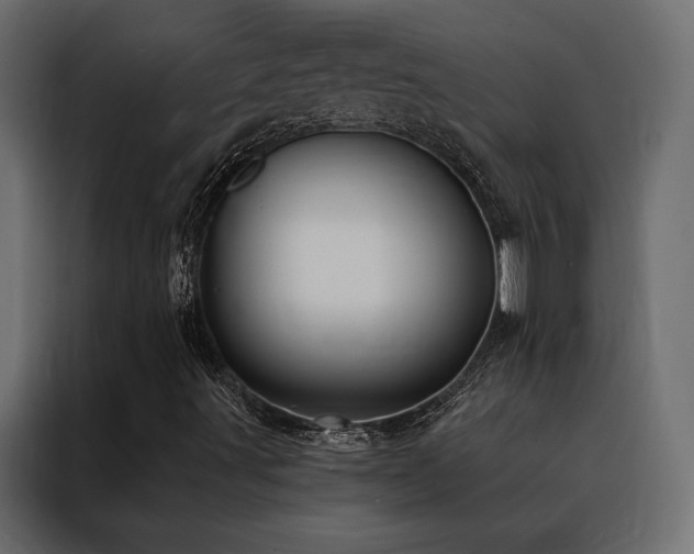 X0000088491491200705221416