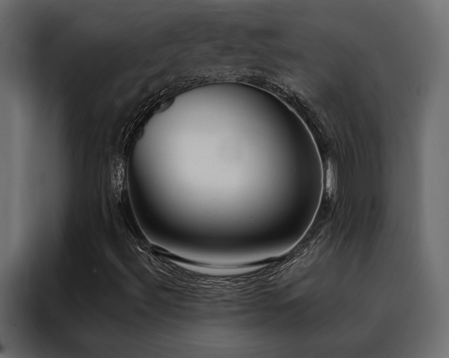 X0000088491492200705221416