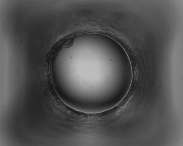 X0000088491494200705221416