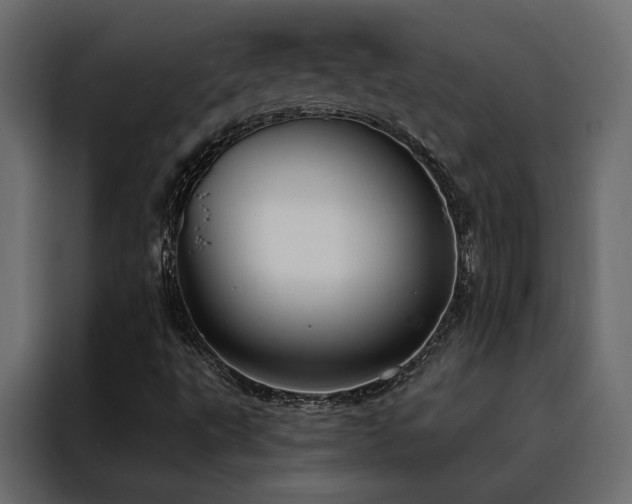 X0000088491495200705221416